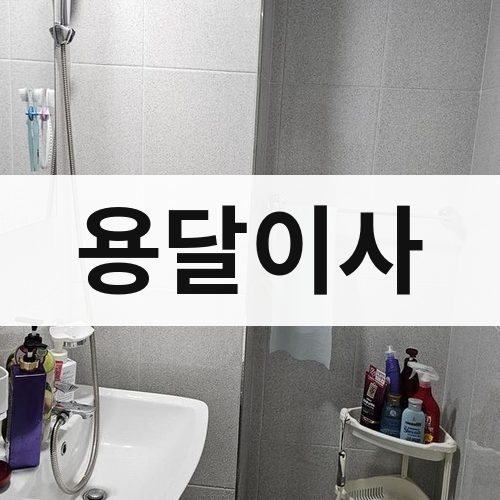 울산 용달이사 포장이사