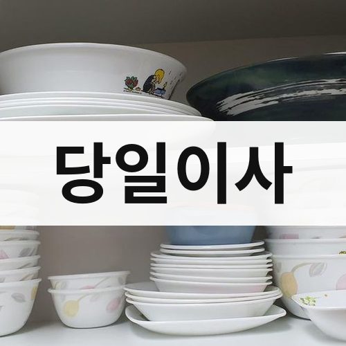 울산 당일이사 포장이사