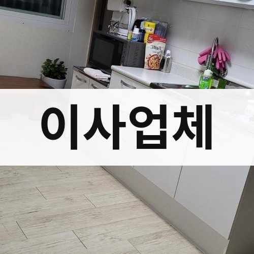 울산 이사업체 포장이사